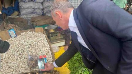German minister pays for vegetables in Bengaluru market with UPI, no Indian rupees in hand