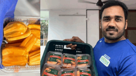 Fresh N Good jackfruit business