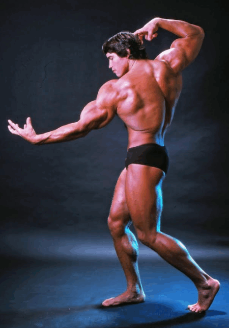Arnold Schwarzenegger richest actor
