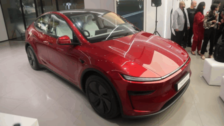 Tesla India challenges