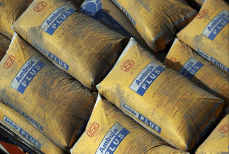 Ambuja Cements to Buy Ships from China