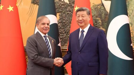 Pakistan China consortium