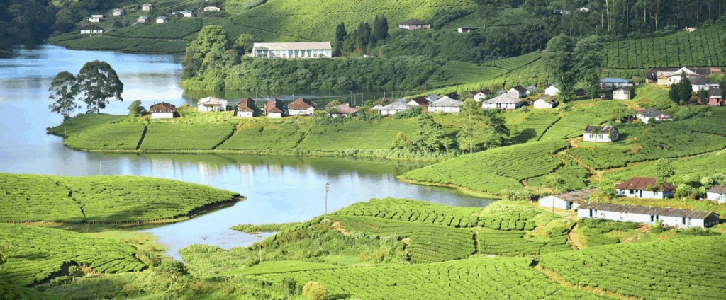 Munnar, Asia's Top Rural Escapes