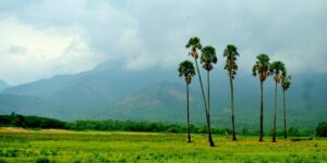 anand mahindra palakkad