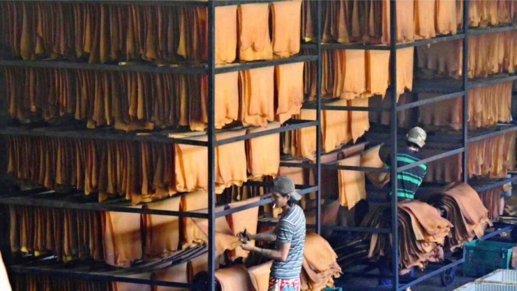 Kerala Rubber Price Decline