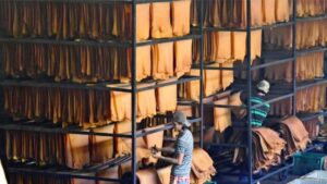 Kerala Rubber Price Decline