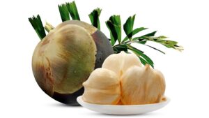 India Ice Apple Producer