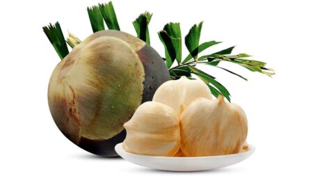 India Ice Apple Producer