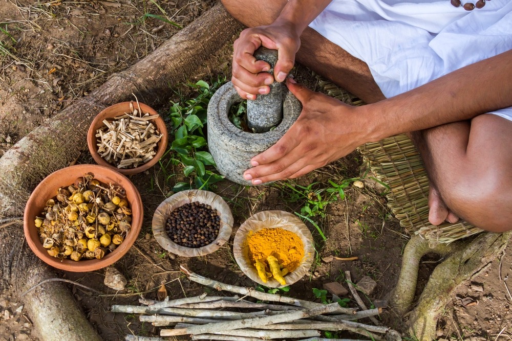 Ayurveda and Mental Health Initiatives Budget