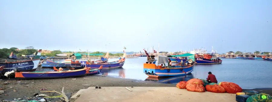 Johan Eliasch Amazon rainforest conservation