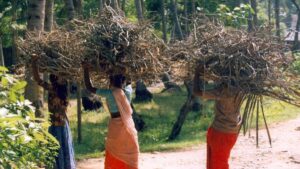ബദൽ മാർഗ്ഗങ്ങളുമായി സ്കൂൾ അടുക്കളകൾ school mid-day meal lpg shortage