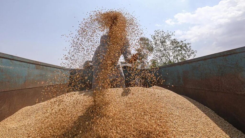 India wheat export quota increase
