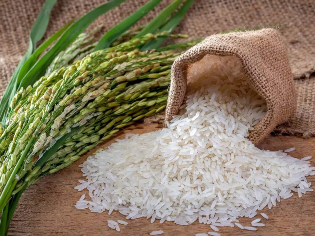 India largest rice producer in the world