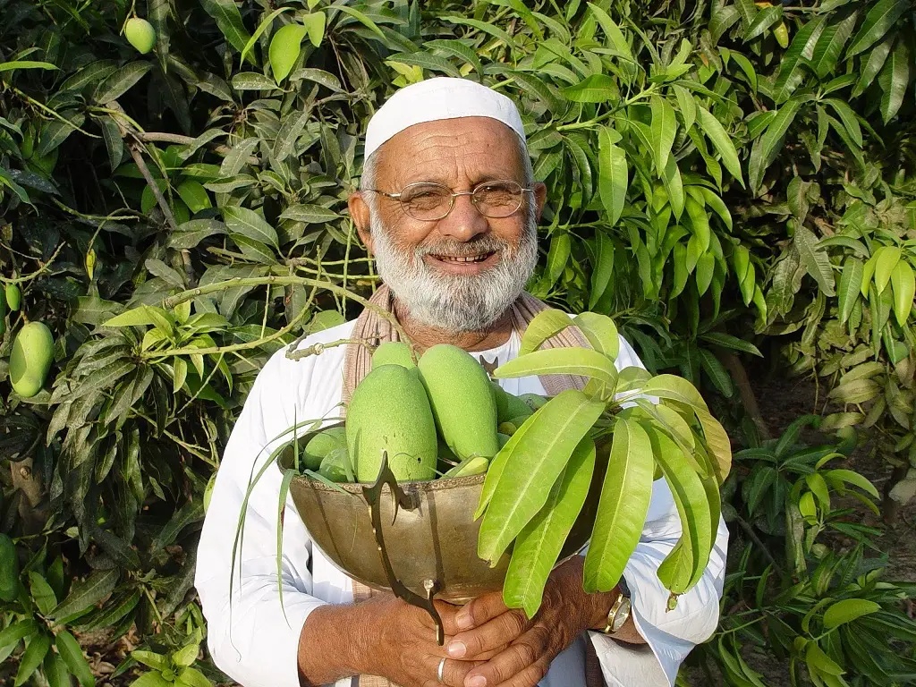 Haji Kalimullah Khan Mango Man of India