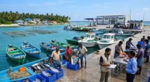 ട്യൂണ ഉൽപ്പാദനം കൂട്ടാൻ ലക്ഷദ്വീപ് Lakshadweep tuna production