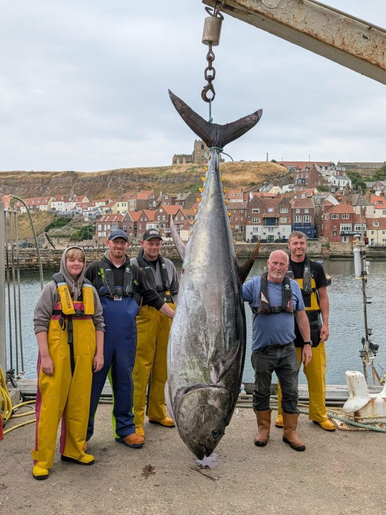 Giant Bluefin Tuna Caught Off Yorkshire Coast