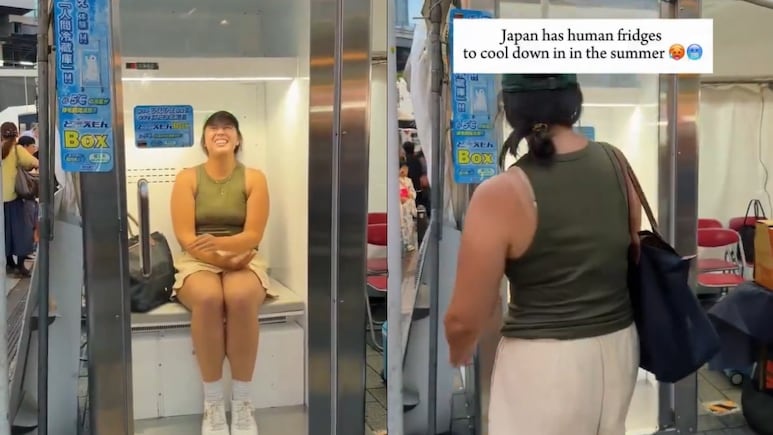 Human Refrigerator Japan Harsh Goenka