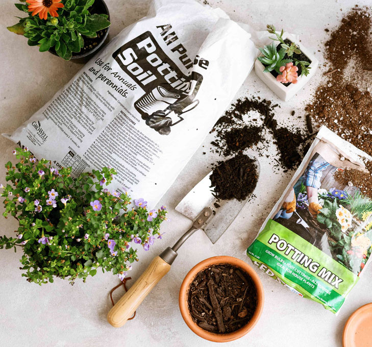 Pocket Grover Soilless Potting Mix