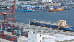 Shipping Corporation of India Profit Target